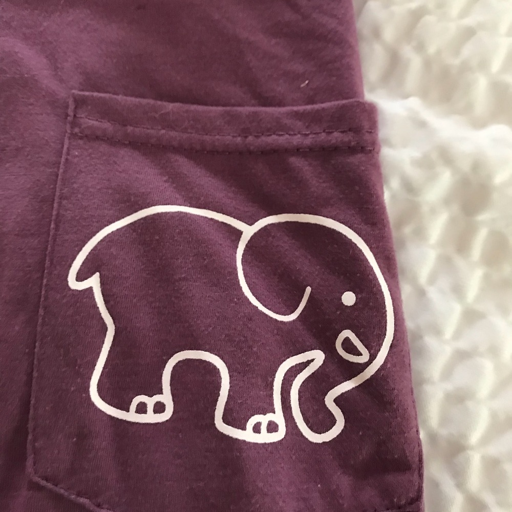 Elephant lovers!